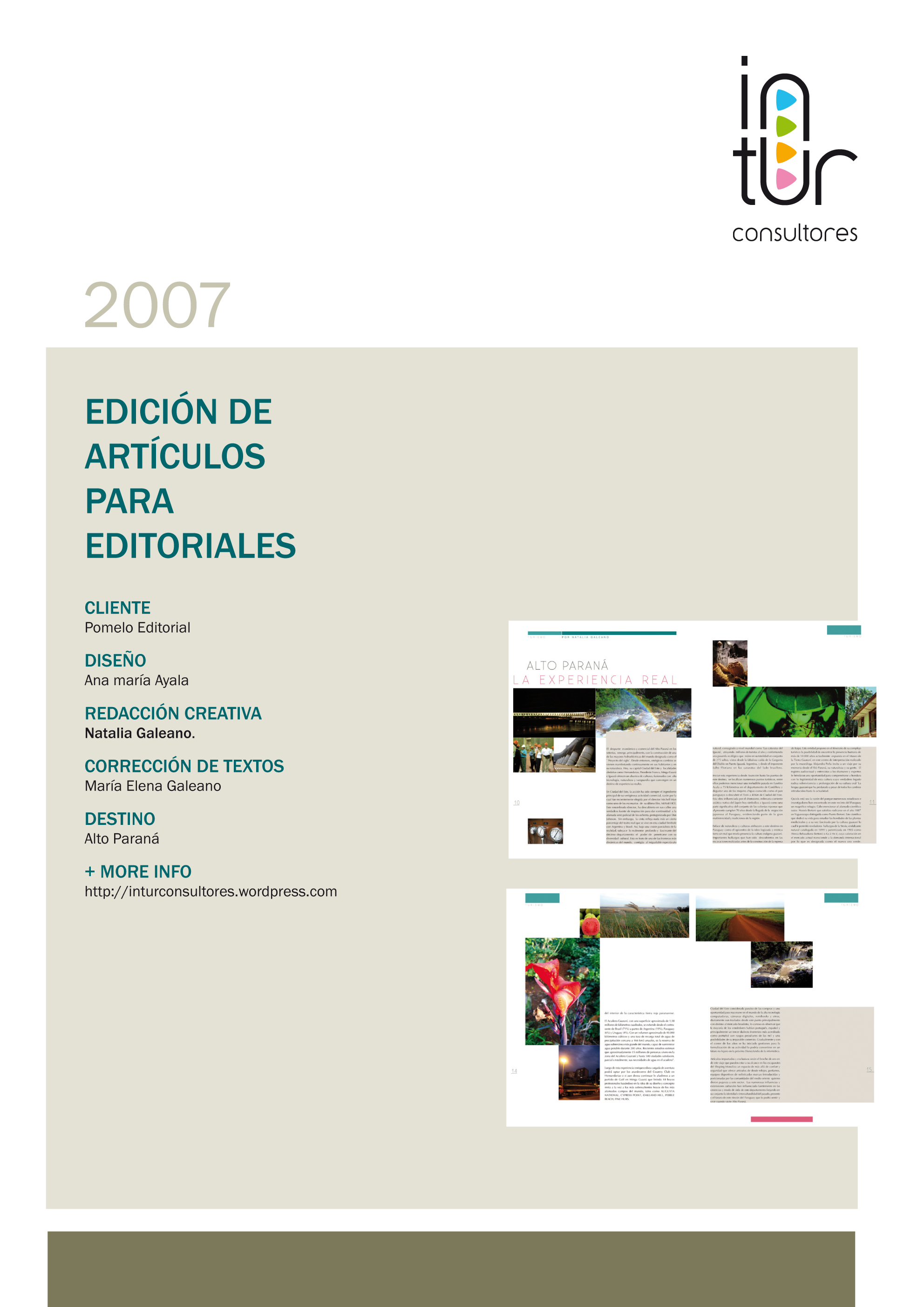 graficas intur-5