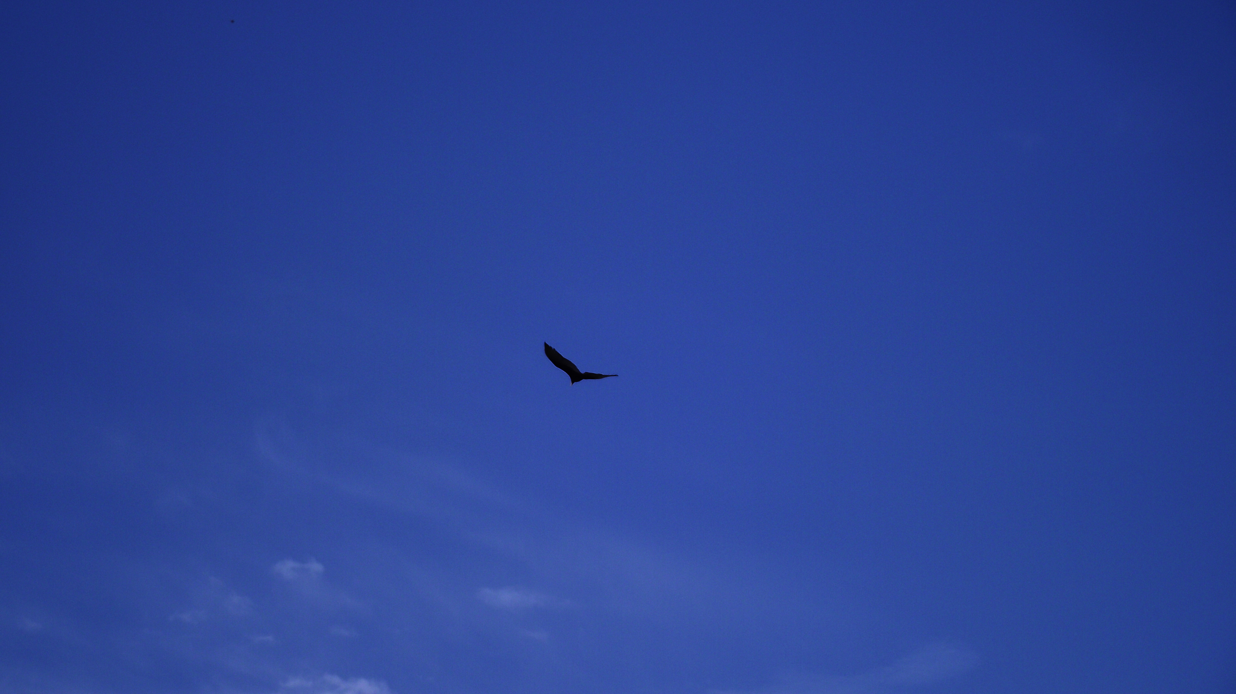 Para poder maximizar esta experiencia por la historia y paisaje de la bahía te recomendamos iniciar desde el Puerto de Asunción y realizar el recorrido por agua hasta el Club de Regatas en Mbiguá y de ahí desembarcar para ir a pie hasta los puntos donde cada año las aves migratorias realizan este recorrido, desde allí podrás contemplar una maravillosa vista mirando la ciudad de Asunción y el imponente Río Paraguay. Te recomendamos seguir las máximas precauciones para respetar y disfrutar este atractivo natural ya que numerosas especies dependen de este hábitat.
