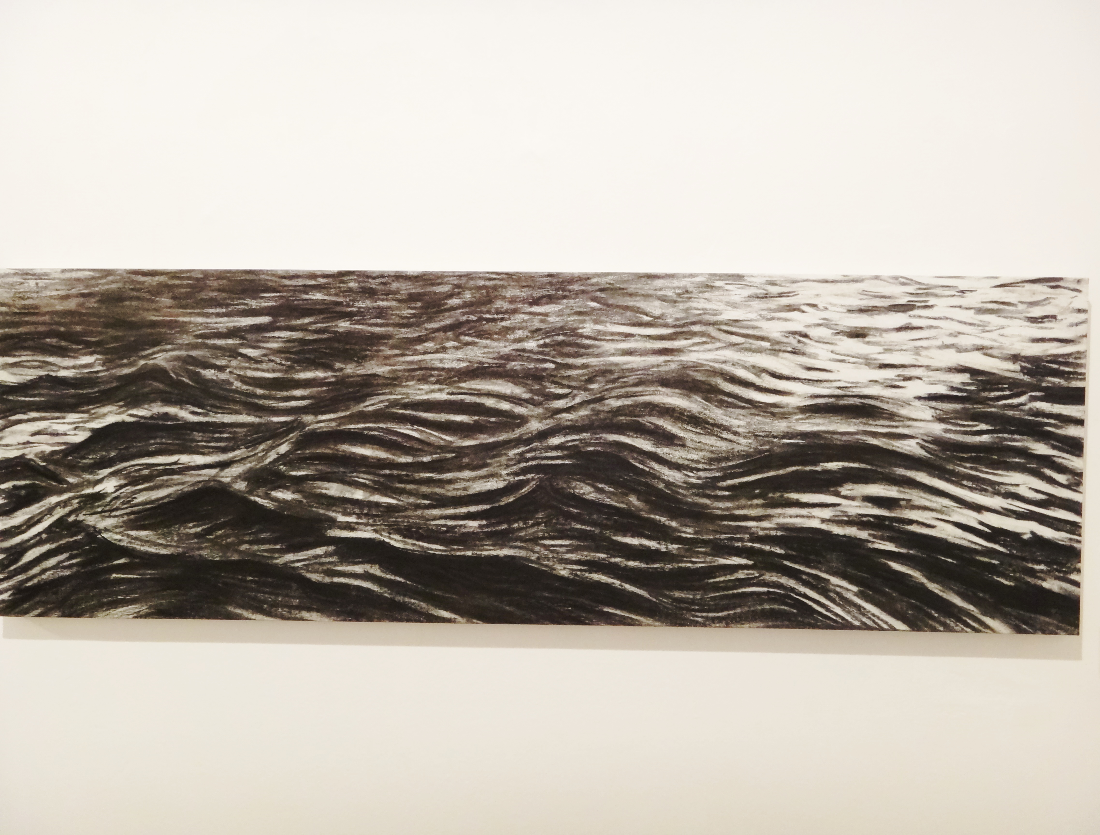 Olas del Paraná, 2010. Carbonilla sobre tela, 49 x 147 cm