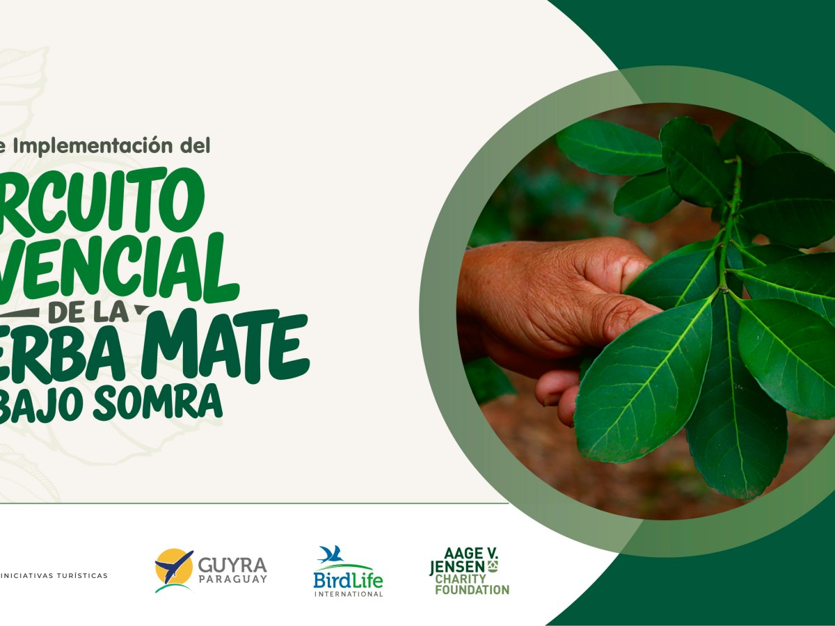 DISEÑO E IMPLEMENTACIÓN DEL CIRCUITO VIVENCIAL DE LA YERBA MATE BAJO&nbsp;SOMBRA